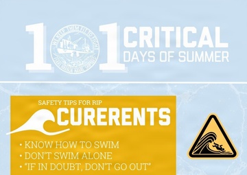 101 Critical Days of Summer - PHNSYIMF