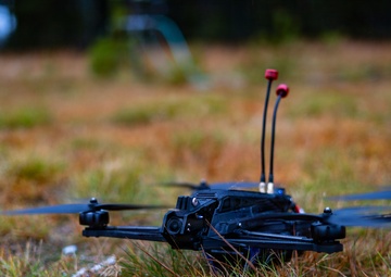 Flank Deterrence Line Task Force X Pilot Demonstration