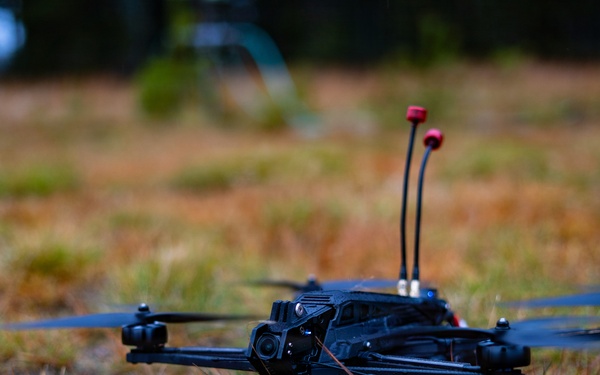 Flank Deterrence Line Task Force X Pilot Demonstration