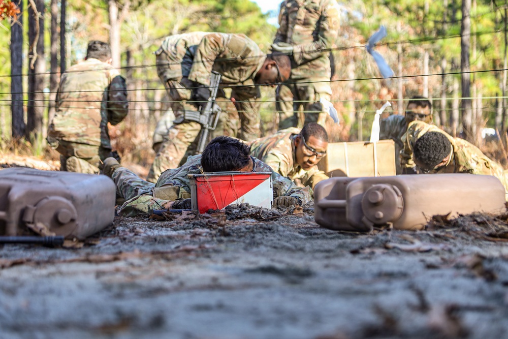 1-17 Air Cavalry Squadron Spur Ride, Red over white.
