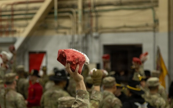 1-17 Air Cavalry Squadron Spur Ride, There are many like it, but this one is mine