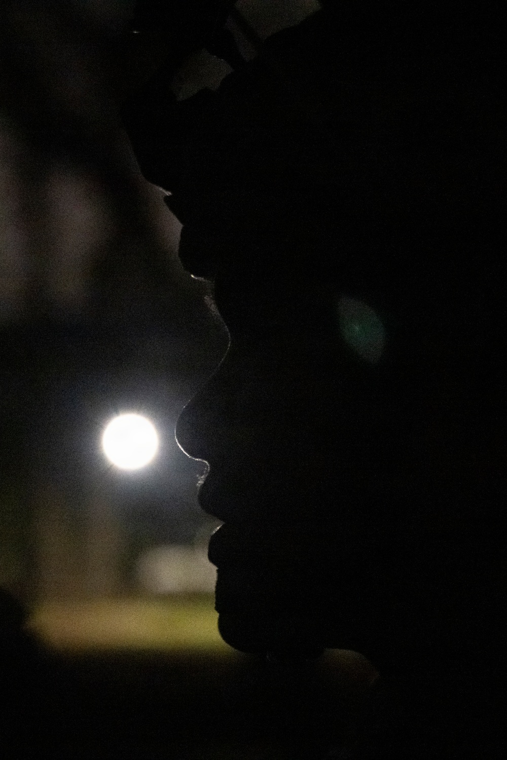 1CTCS conducts exercise Green Goblin 2025