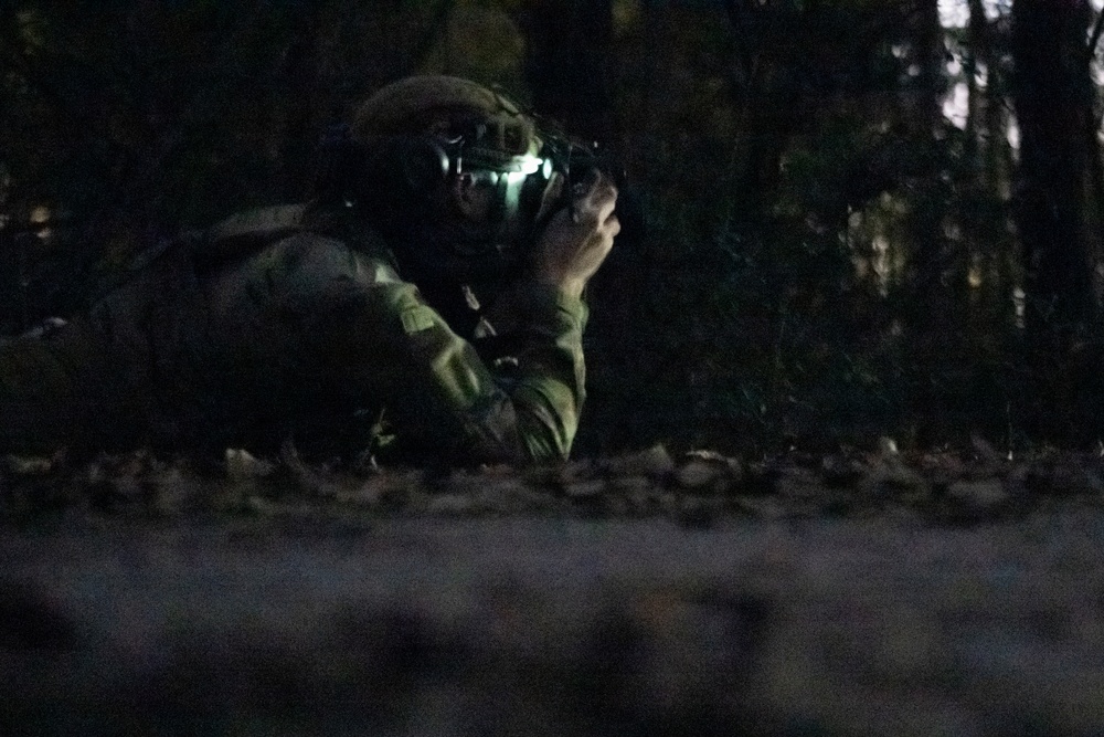 Low-light imagery collection during Green Goblin 2025