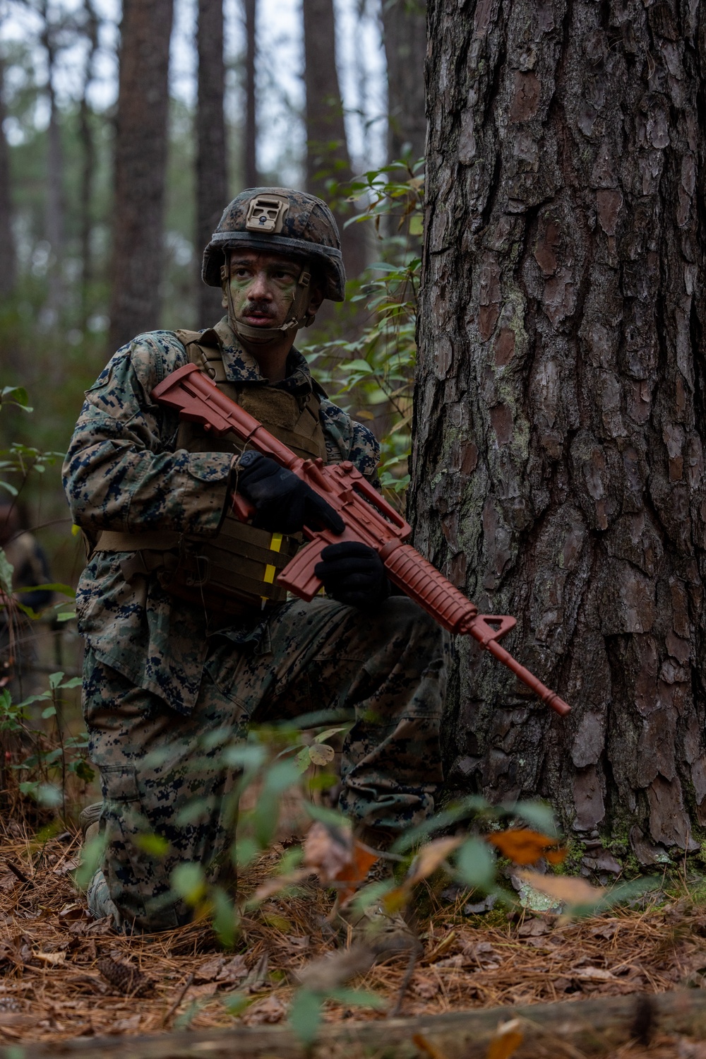 Marine Corps Martial Arts Instructor Course Culminating Event