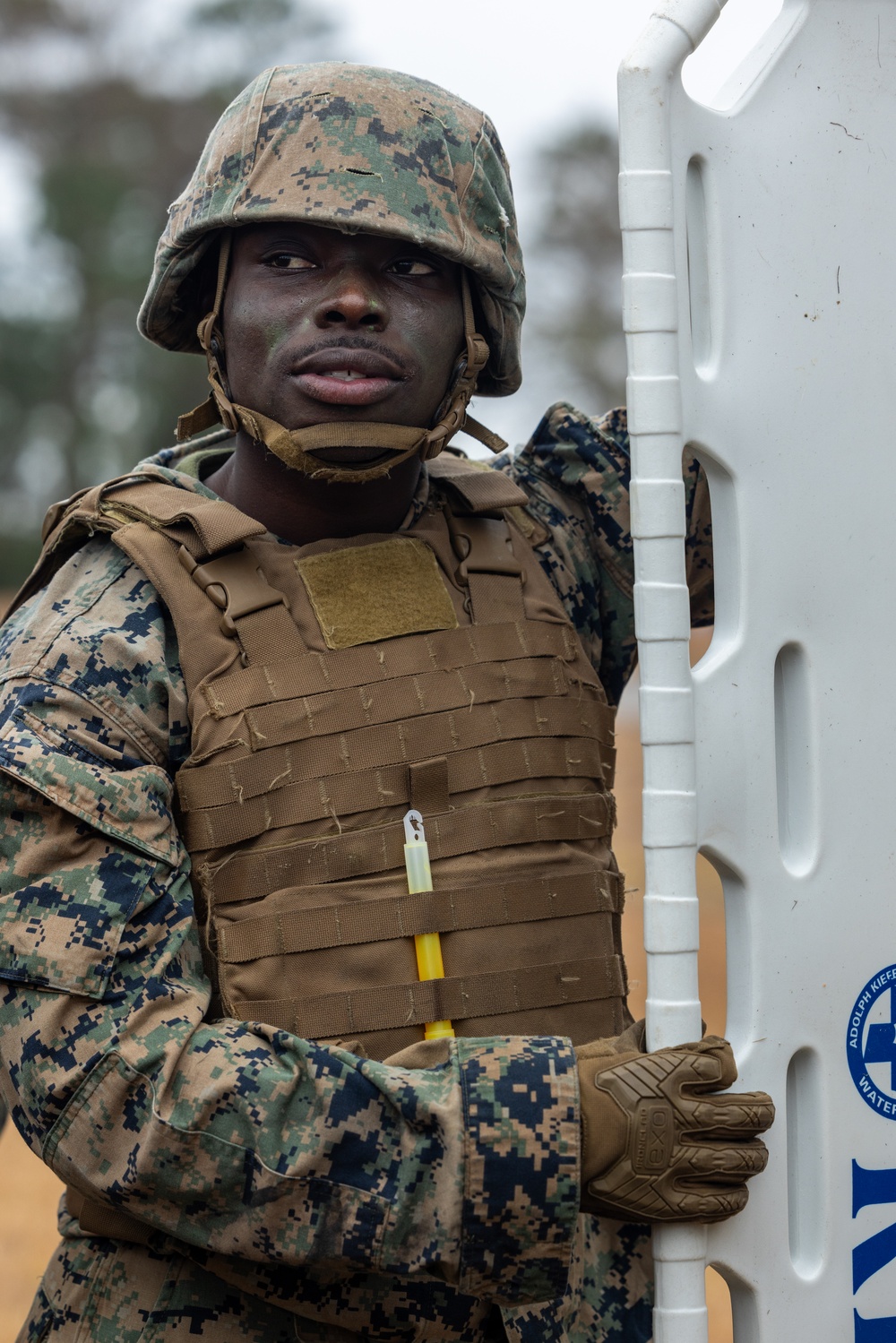 Marine Corps Martial Arts Instructor Course Culminating Event
