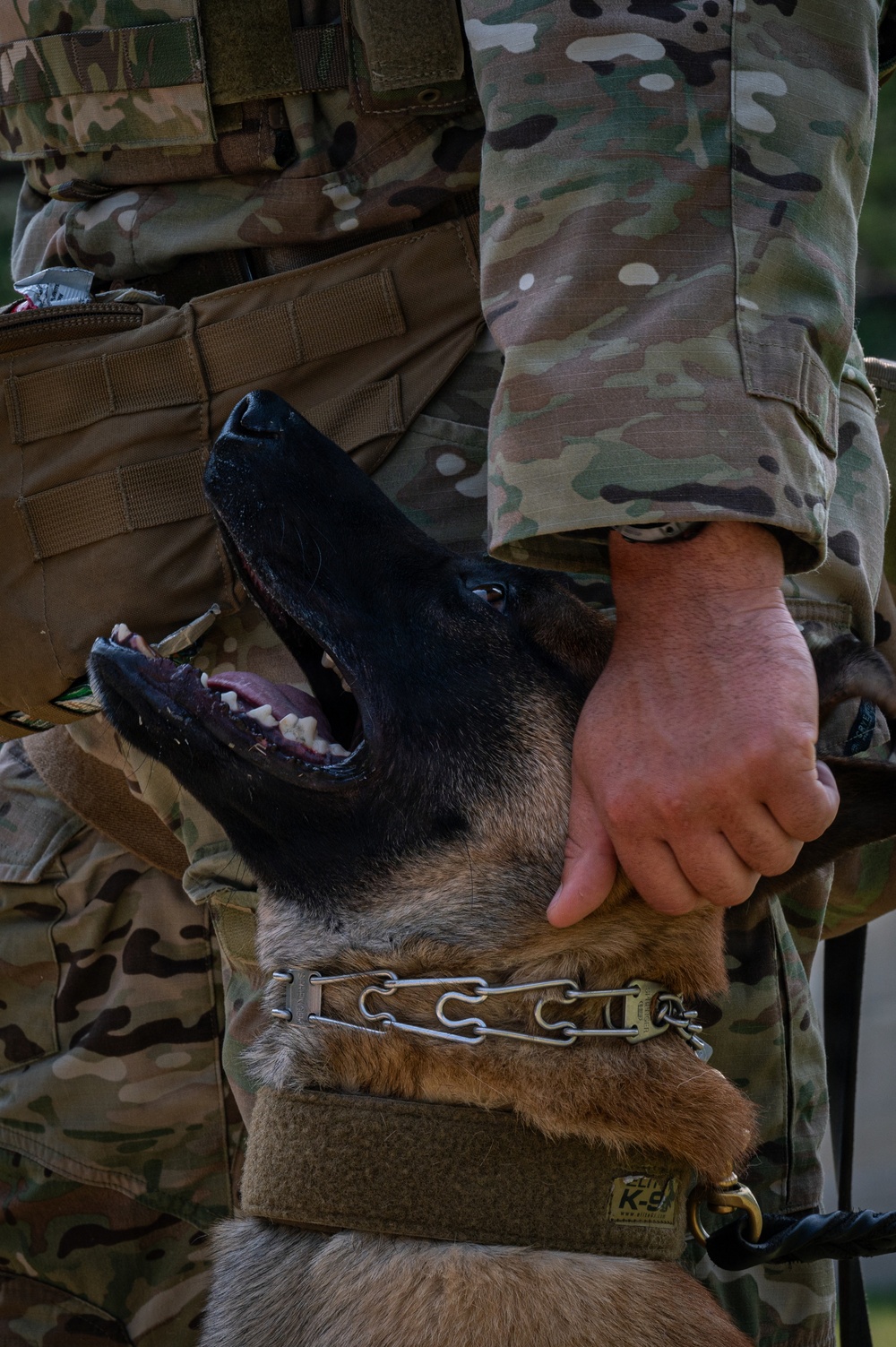 628th Security Forces K9 Training