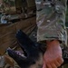 628th Security Forces K9 Training