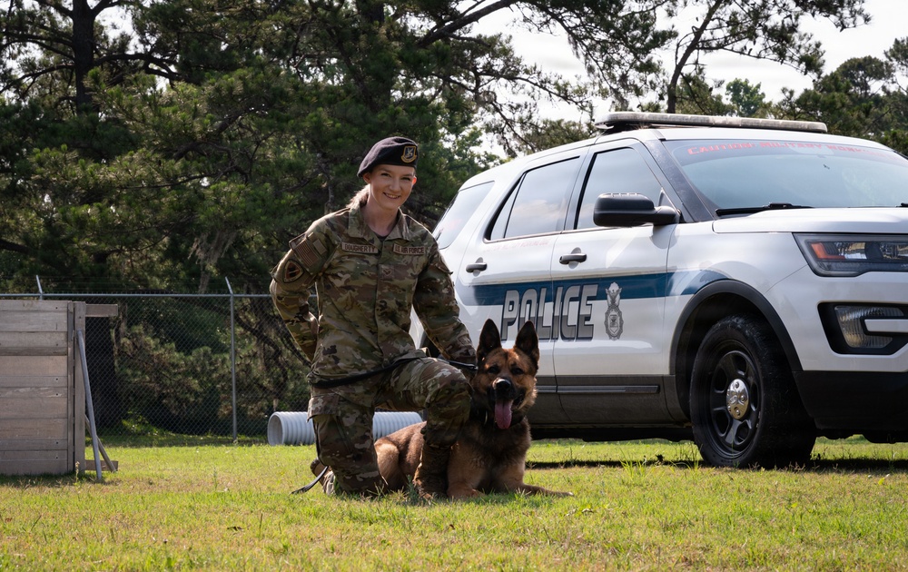 628th Security Forces K9 Training