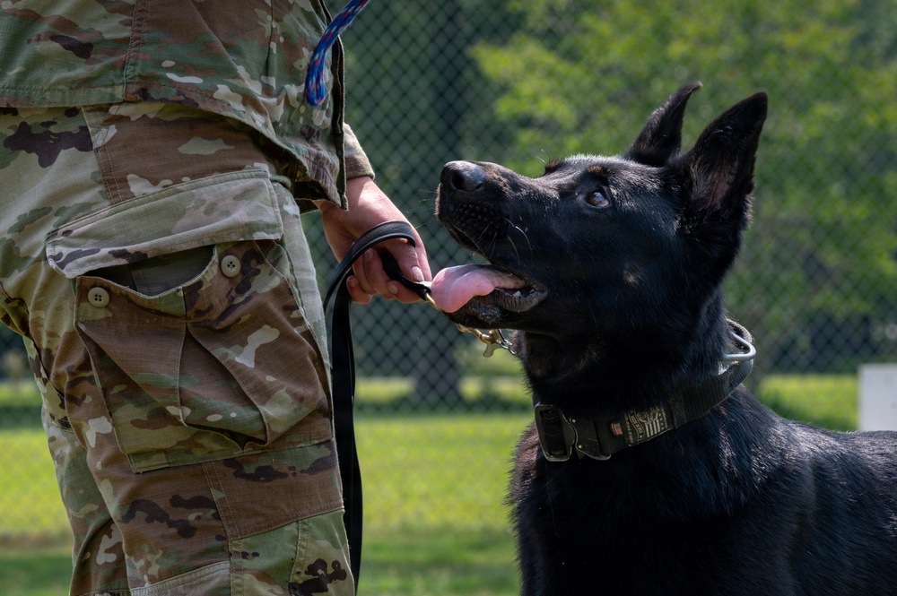 628th Security Forces K9 Training