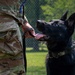 628th Security Forces K9 Training