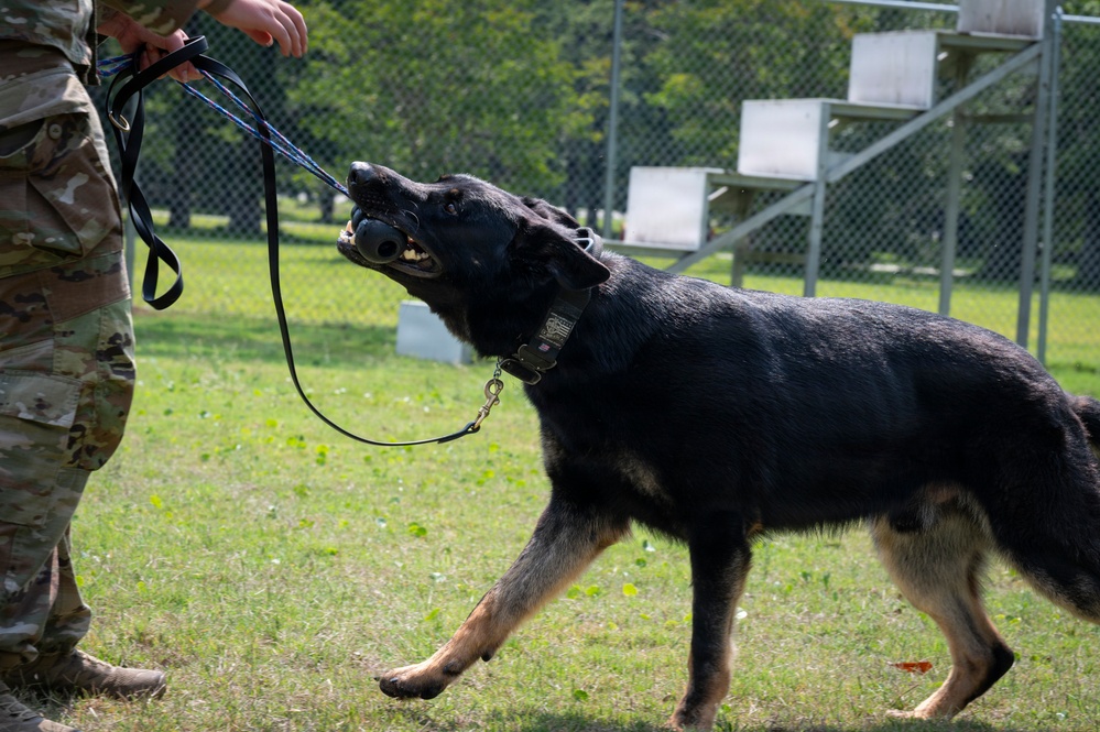 628th Security Forces K9 Training