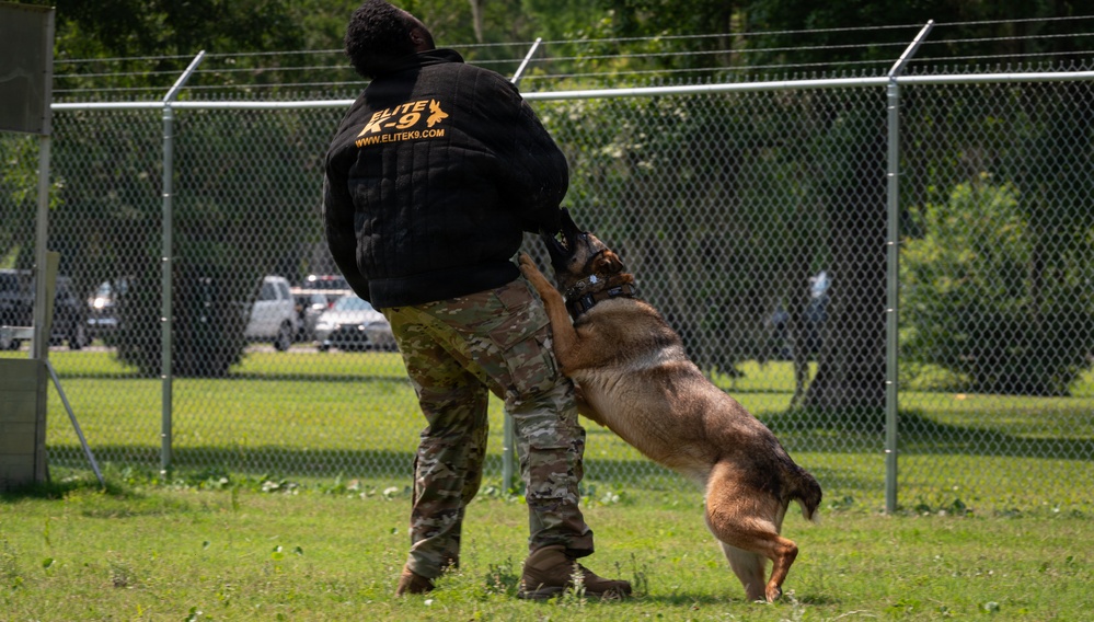 628th Security Forces K9 Training