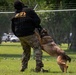 628th Security Forces K9 Training