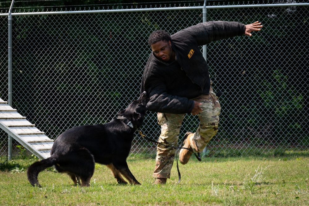 628th Security Forces K9 Training