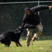 628th Security Forces K9 Training