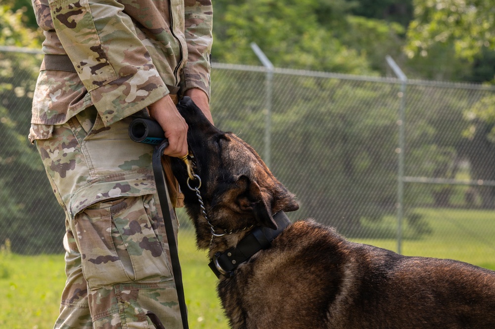 628th Security Forces K9 Training