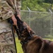 628th Security Forces K9 Training