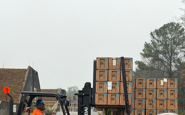 Ammunition Supply Points: Where the fight begins