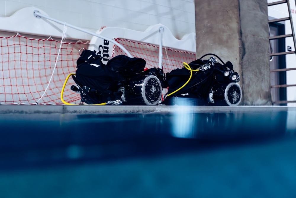 Capabilities &amp; Sustainment Dive ​