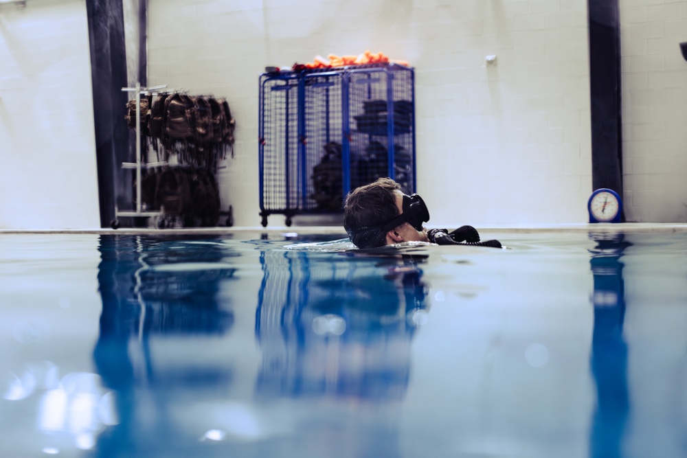 Capabilities &amp; Sustainment Dive ​