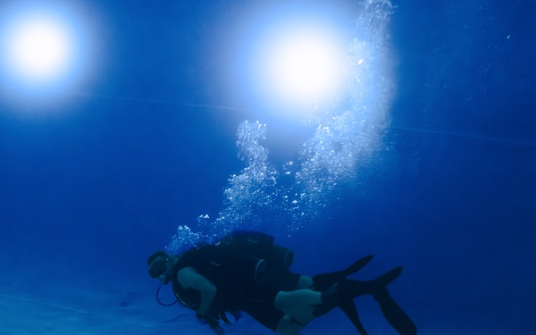 Capabilities &amp; Sustainment Dive ​