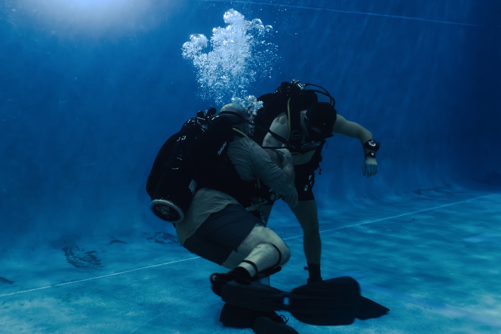 Capabilities &amp; Sustainment Dive ​