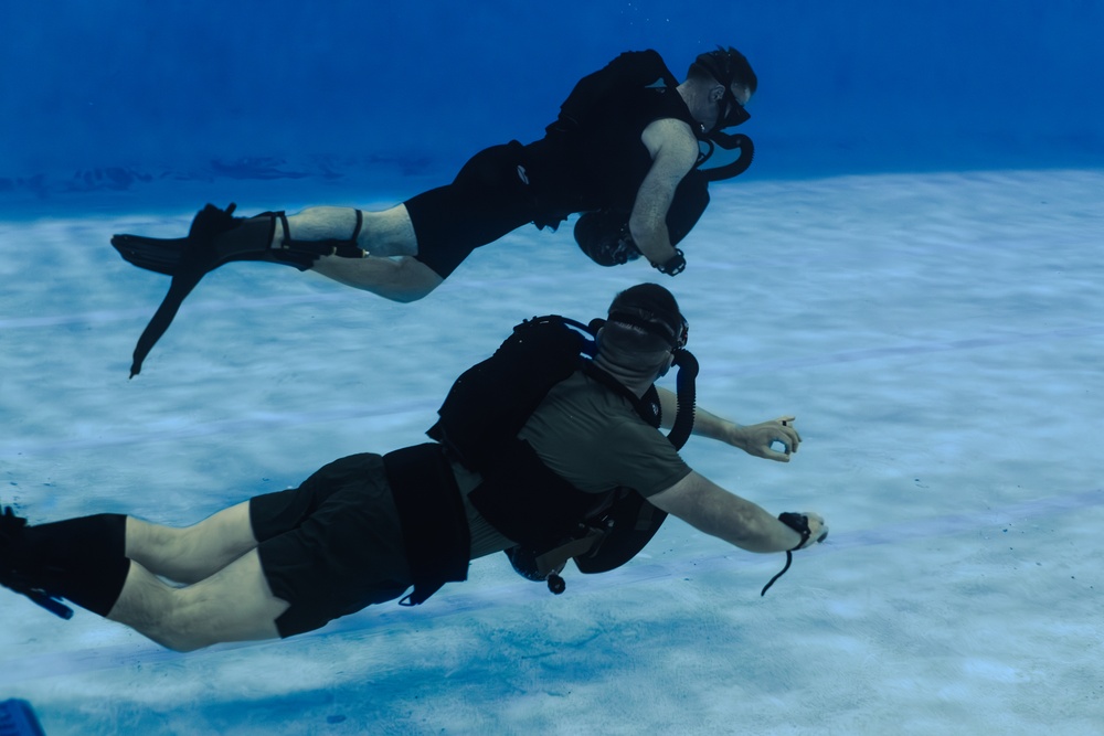 Capabilities &amp; Sustainment Dive ​