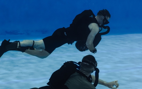 Capabilities &amp; Sustainment Dive ​