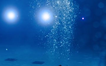 Capabilities &amp; Sustainment Dive ​