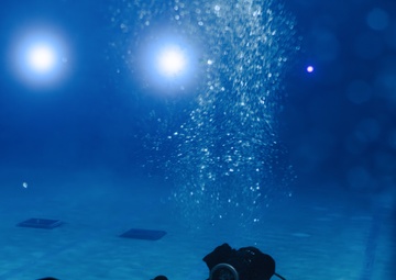 Capabilities &amp; Sustainment Dive ​