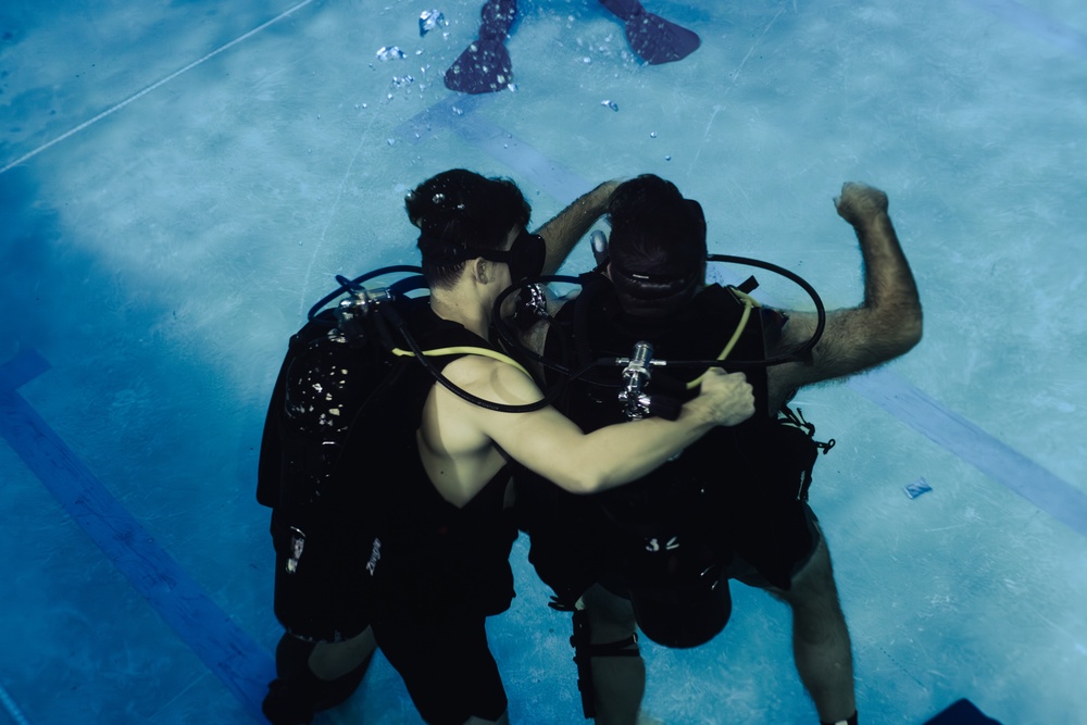 Capabilities &amp; Sustainment Dive ​