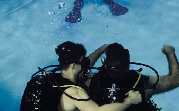 Capabilities &amp; Sustainment Dive ​