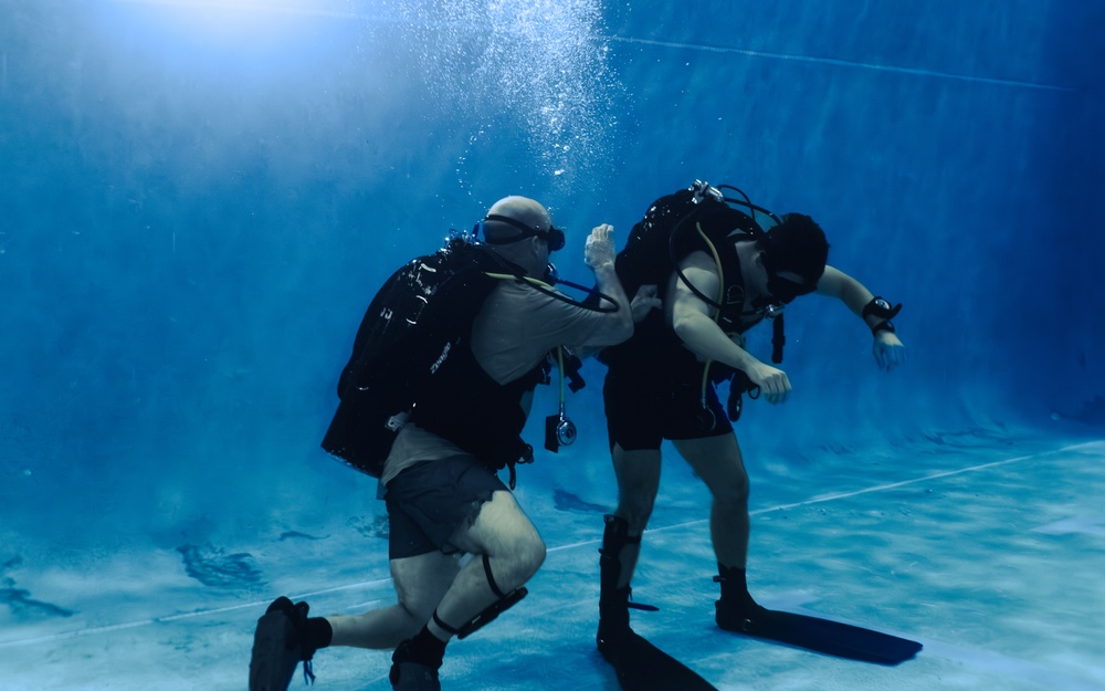 Capabilities &amp; Sustainment Dive ​