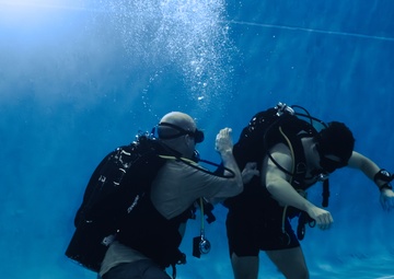 Capabilities &amp; Sustainment Dive ​