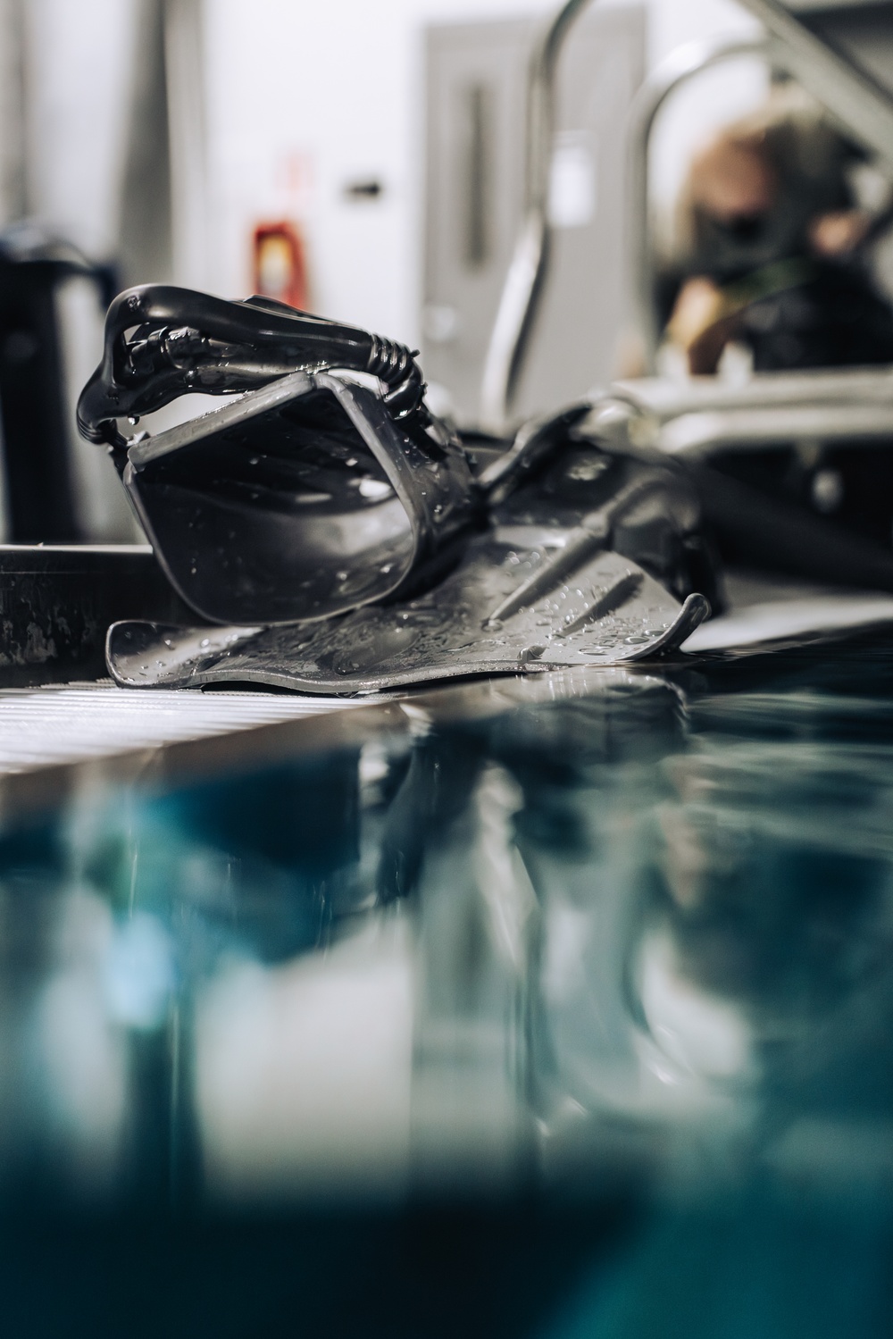 Capabilities &amp; Sustainment Dive ​