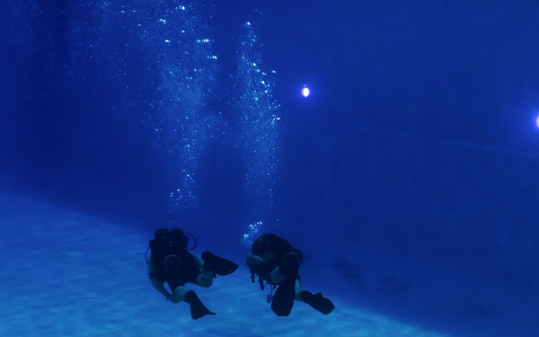 Capabilities &amp; Sustainment Dive ​