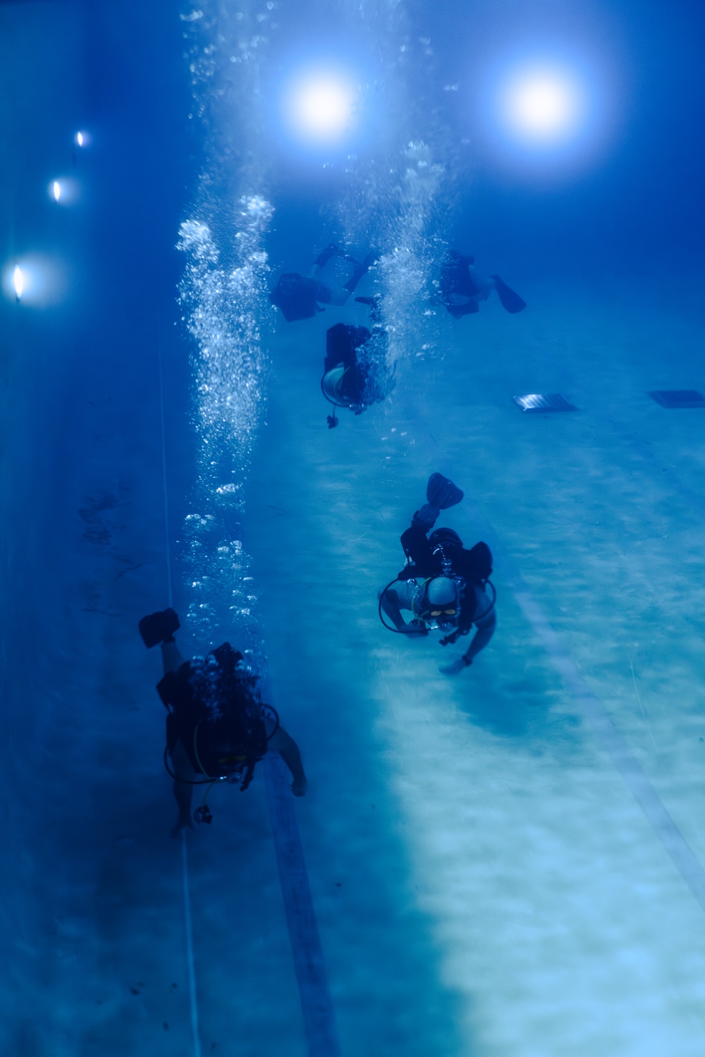 Capabilities &amp; Sustainment Dive ​