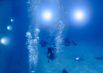 Capabilities &amp; Sustainment Dive ​