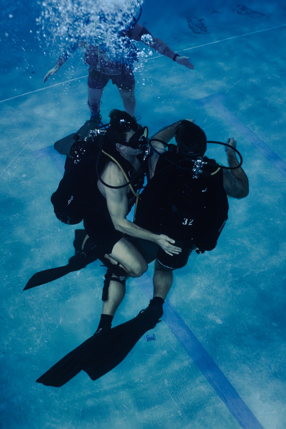 Capabilities &amp; Sustainment Dive ​