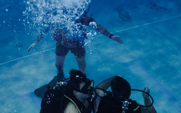 Capabilities &amp; Sustainment Dive ​