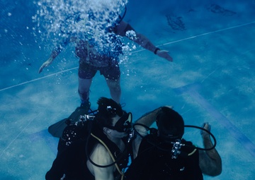 Capabilities &amp; Sustainment Dive ​