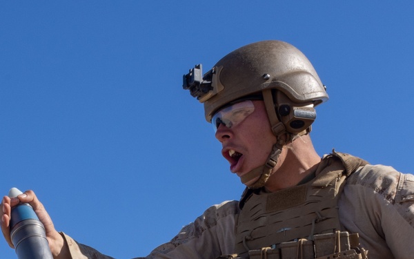 2nd Bn., 4th Marines participate in range 106A