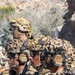 2nd Bn., 4th Marines participate in SLTE