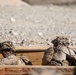 2nd Bn., 4th Marines participate in SLTE
