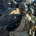 2nd Bn., 4th Marines participate in SLTE