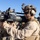 2nd Bn., 4th Marines participate in SLTE
