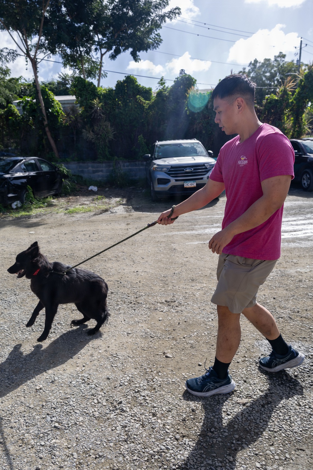 Iwo Jima Sailors Help Shelter Animals