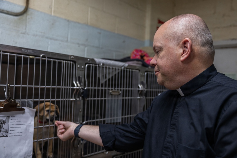 Iwo Jima Sailors Help Shelter Animals