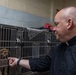 Iwo Jima Sailors Help Shelter Animals