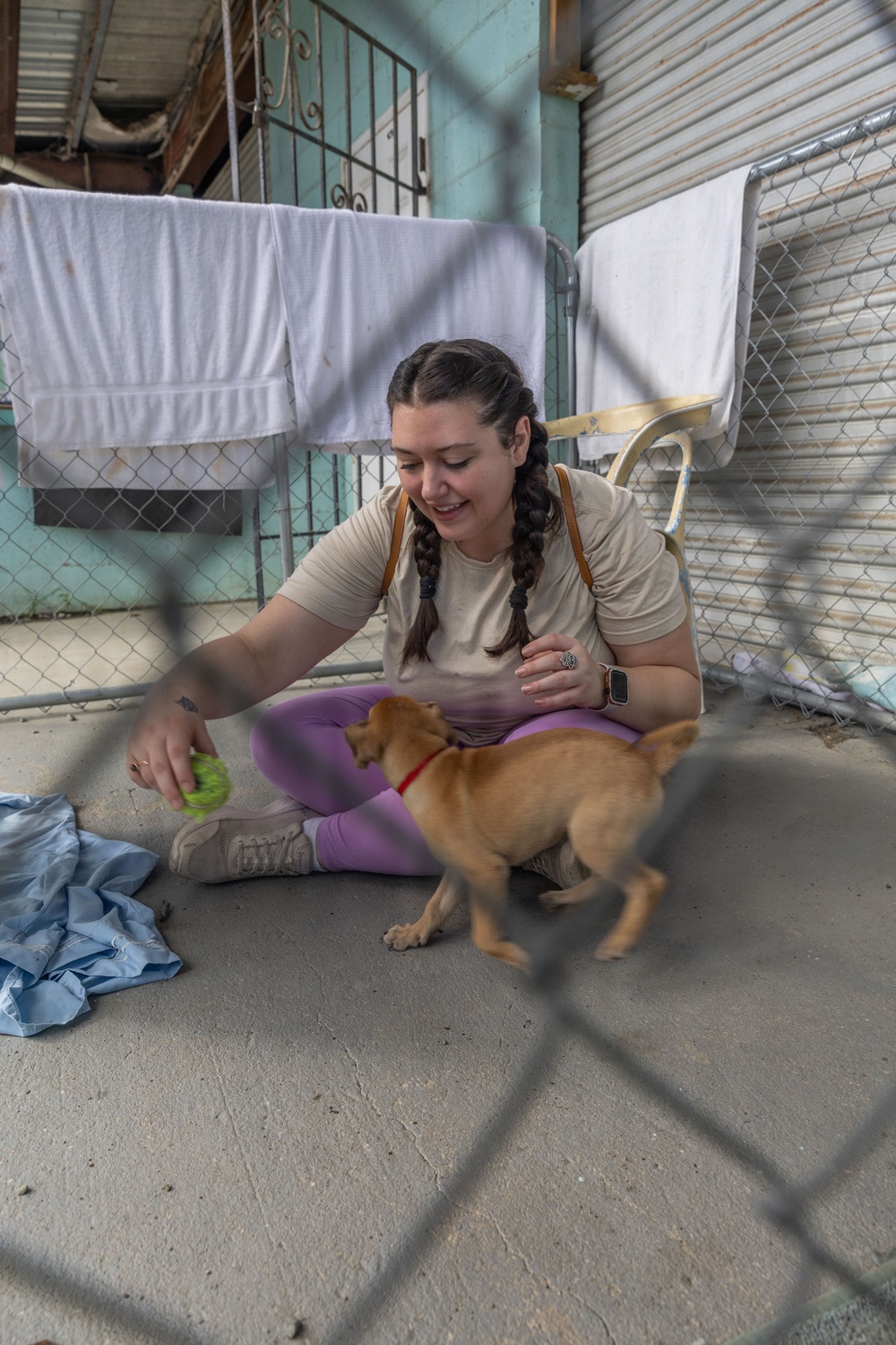 Iwo Jima Sailors Help Shelter Animals